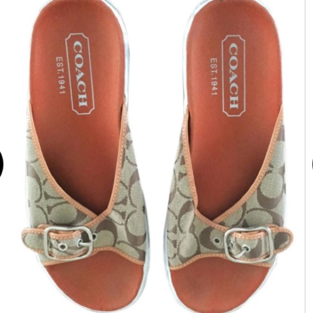 Brown Signature Canvas P229 Bonny Sandals